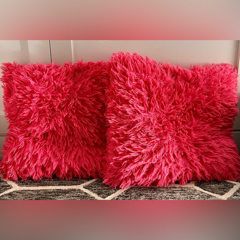 Set of 2 Pink Accent Pillows